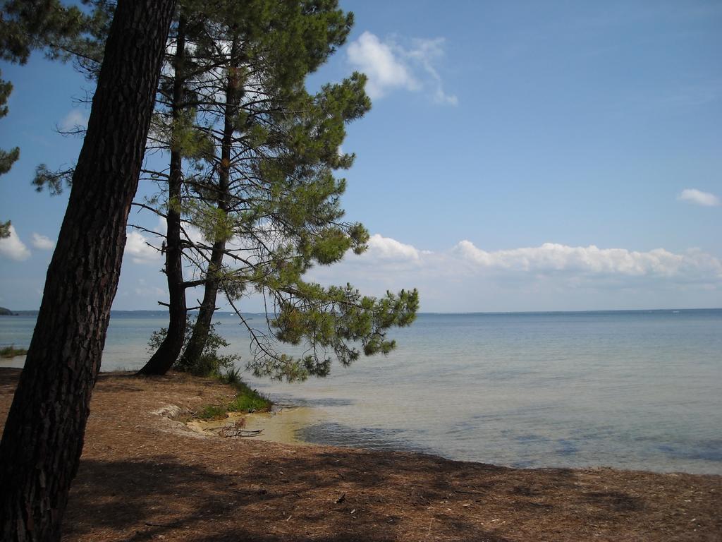 Апартаменти Studio Mansarde Climatise Les Roseaux Bord De Lac Біскарросс Екстер'єр фото